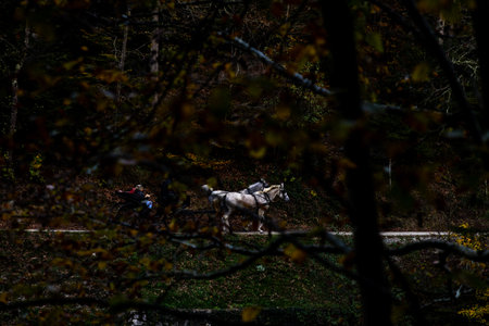 Sunset over the lake. Trakoscan Castle Lake, Croatiaの写真素材