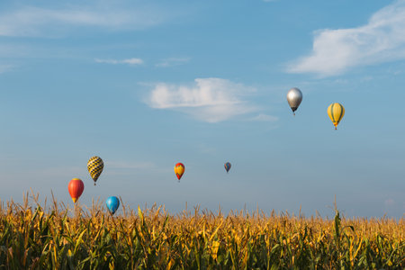 Colorful hot air balloons flying over wheat field on a sunny dayの写真素材