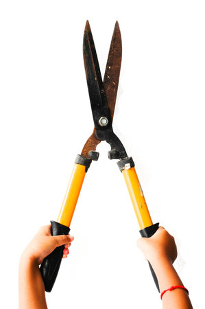 Hands holding the scissor on the white backgroundの写真素材