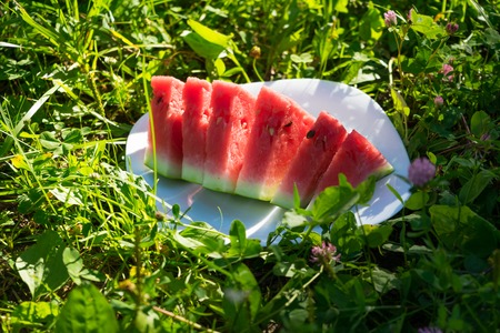 Cut watermelon on the grassの写真素材
