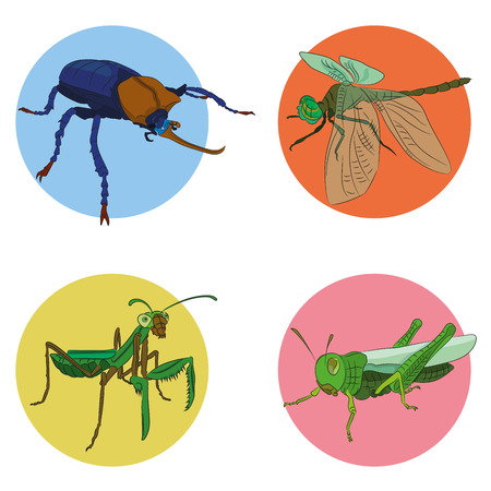 Set of insects icons. Abstract graphic design logo, badge, label, sticker. Vector stock illustration.のイラスト素材