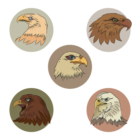 Vector collection of silhouettes of eaglesのイラスト素材