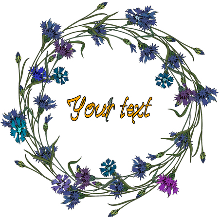 Wreath of cornflowers. Summer time, frame of flowers for your design.のイラスト素材