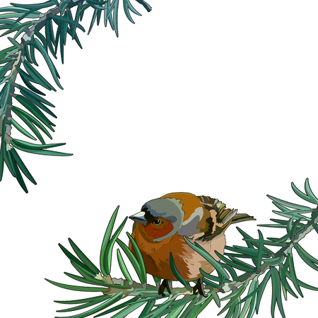 Card with bullfinch on a branch. Vector illustration, EPS 10.のイラスト素材