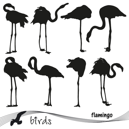 Vector collection of silhouettes of flamingos. EPS 10のイラスト素材