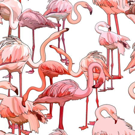 Seamless background with flamingos. Vector illustration, EPS 10のイラスト素材