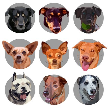 Set of stickers with heads of dogs. Vector illustrationのイラスト素材