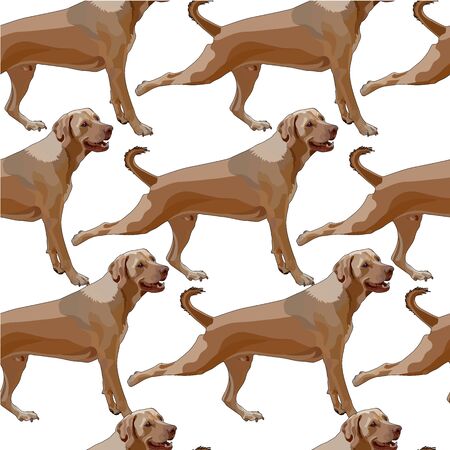 Seamless background with dogs.のイラスト素材