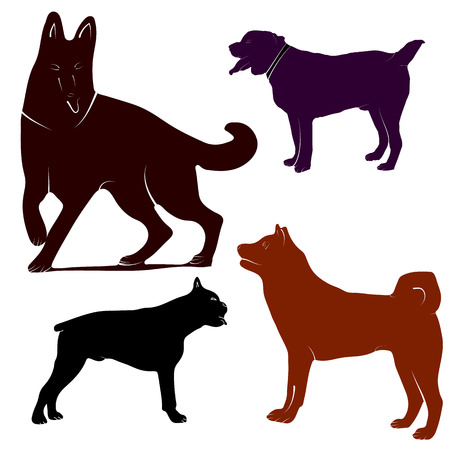 Vector image of an dog labrador on white backgroundのイラスト素材