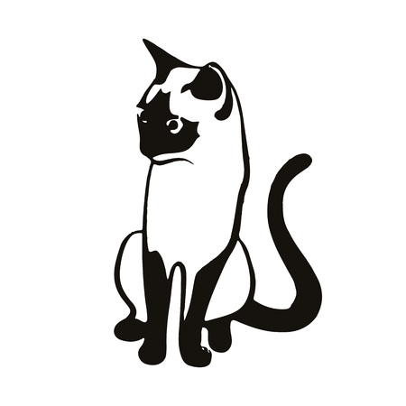 Black cat sitting, silhouette on a white background.vectorのイラスト素材