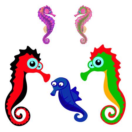 Collection of seahorses, cartoon illustration on a white background.vectorのイラスト素材