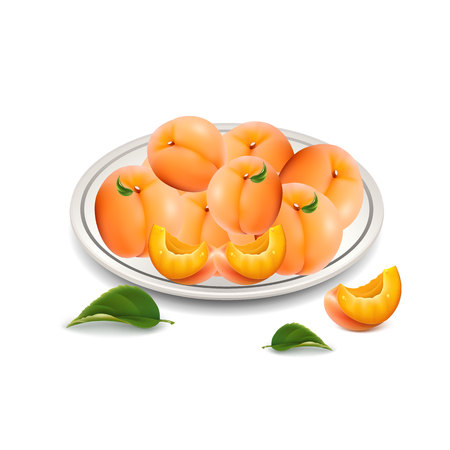 Dish of apricot dessert with slices on a plate, on a white background.vectorのイラスト素材