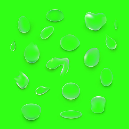 Transparent Water droplets, on a green background.Vectorのイラスト素材