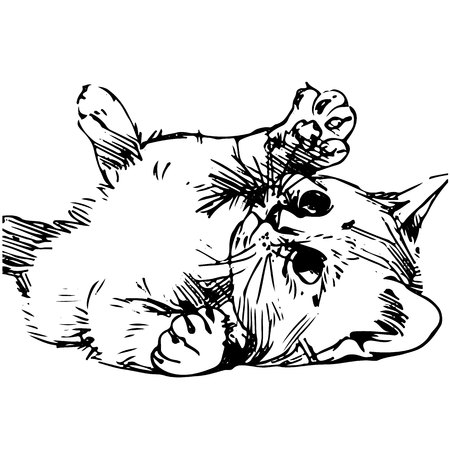 Fluffy kitten plays, silhouette drawing on white background.vectorのイラスト素材