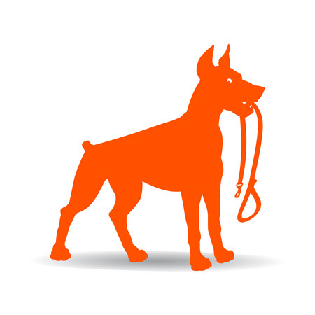 Orange Dog Silhouette (Doberman Pinscher) keeps leash, on white background.Vectorのイラスト素材