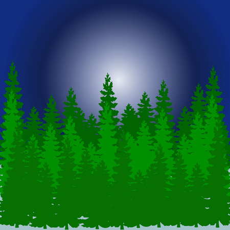Pine tree forest at night vectorのイラスト素材