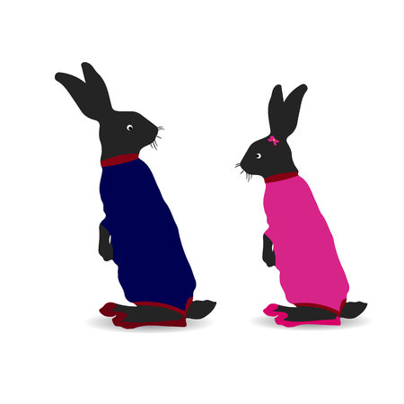 Hare male and hare female, silhouette-cartoon on white background, vectorのイラスト素材