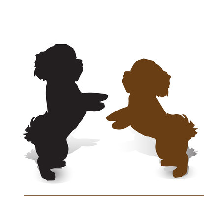 Circus dog. Two puppies poodle on two legs, silhouette on white backgroundのイラスト素材