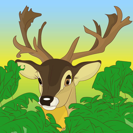 Head of a deer peeking out of green bushes in the forest, cartoon on a natural background, vectorのイラスト素材