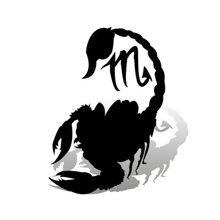 Black scorpion, zodiac sign, silhouette on white background with shadow, vectorのイラスト素材