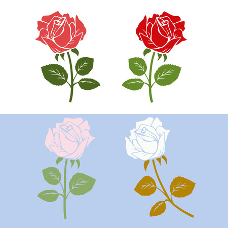 Collection of roses, for design of greeting cards, silhouette on white and light blue background, vectorのイラスト素材