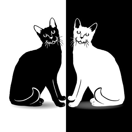 Black and white cat, on white and black background, vectorのイラスト素材