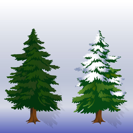 Winter illustration Two Christmas trees in the forest on a light blue background, vectorのイラスト素材