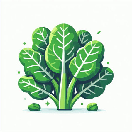 Vector illustration of green spinach in cartoon style. Isolated on white background.のイラスト素材