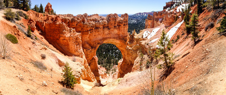 The red rock formation of natural arch at Natural Bridge Overlook of Bryce Canyon National Park in Utah with green forest through the arch from the canyon below on sunshine in panorama view.の写真素材