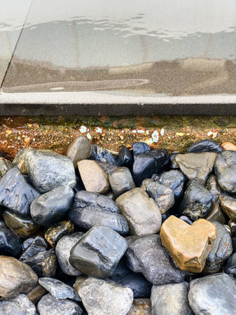 A brown heart-shaped pebbles is among different gray pebbles at the edge of a swimming pool in the sunshine morning in the vertical view.の写真素材