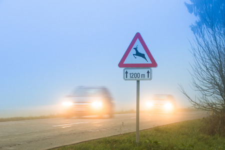 Cars passing a traffic sign for deer crossing in fogの写真素材