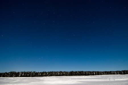 Night winter scene with starry skyの写真素材