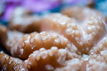 Octopus tentacles close upの写真素材