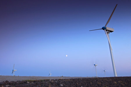Wind turbine farm with blue sky in the evening