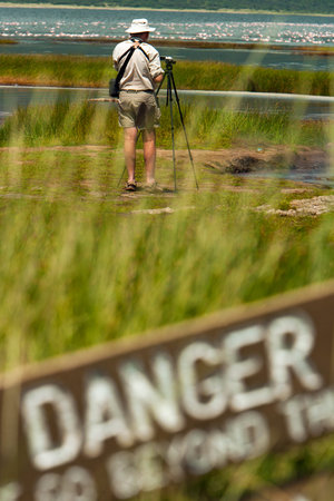 Tourist taking photos of animals in danger zone