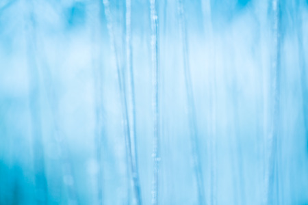 Frosted grass and plants in soft focusの写真素材