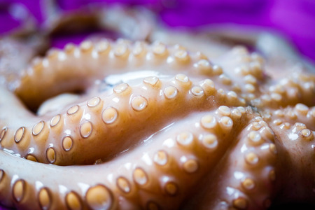 Octopus tentacles close upの写真素材