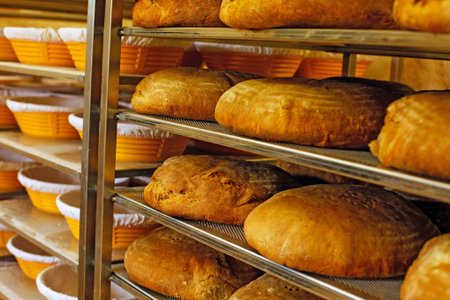 Golden fresh baked bread on shelves in bakery