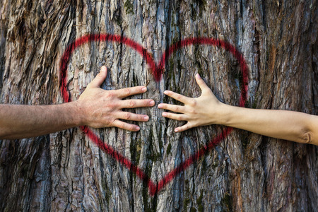 Hands of couple in love hugging a tree with painted red heartの写真素材