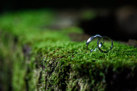 Wedding rings on moss