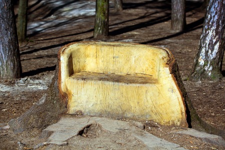 big wooden bench in forestの写真素材