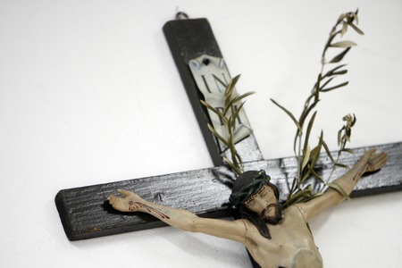 Jesus Christ on cross with olive branch on white wallの写真素材