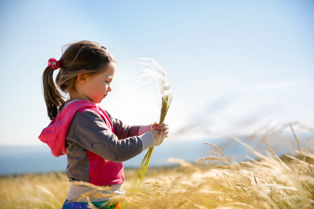 Cute little girl picking and gathering brown grasses on a meadow with the wind blowing through her long hair and sea in the background. Allergy, hay fever and hypersensitivity concept.の写真素材