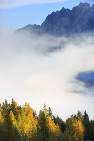 Dense coniferous autumn forest in magical morning mist, with dawning sun rays shining and high mountains in background. Seasons changing, weather, fog, unique sunlight concept, textured background.の写真素材