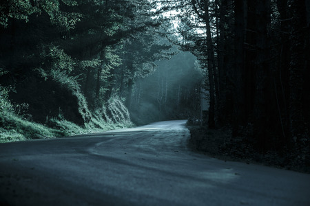 Dark forest with empty road in receding light. Emotional, gothic background, eerie natural scene concept.の写真素材