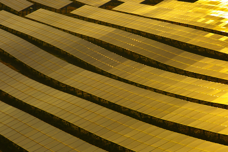 Photovoltaic solar panels in glowing sunlight. Sustainable power generation and distribution, textured background and copy space. 
の写真素材