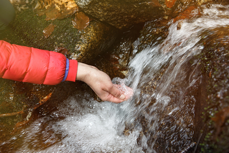 Thirsty hiker drinking water from a crystal clear stream in the mountains. Adventure, fundamental right to water, back to nature and natural lifestyle concept. 
の写真素材