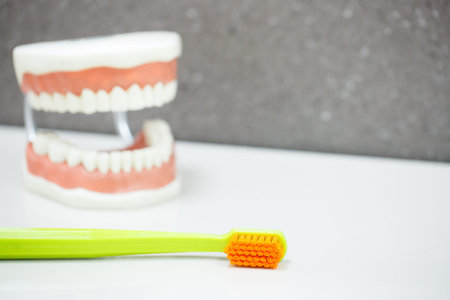 Toothbrush with upper and lower jaw dental model in the background. Proper cleaning, dental hygiene...