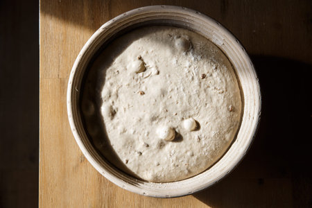 Sourdough bread proofing in a basket with visible gas bubbles. Homemade baking concept.