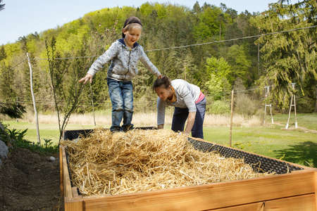 Mother layering straw mulch in a raised garden bed while her son is having fun. Happy family concept. Sustainable living.の写真素材